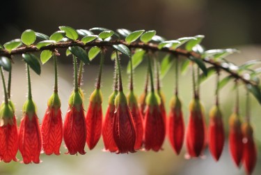 中山三乡私人快速借钱网，轻松解决资金难题