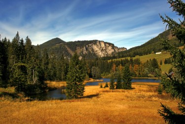 中山三乡民间私贷攻略：揭秘低成本借贷的秘密