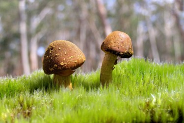 中山三乡私人老板放款：轻松融资的秘密通道